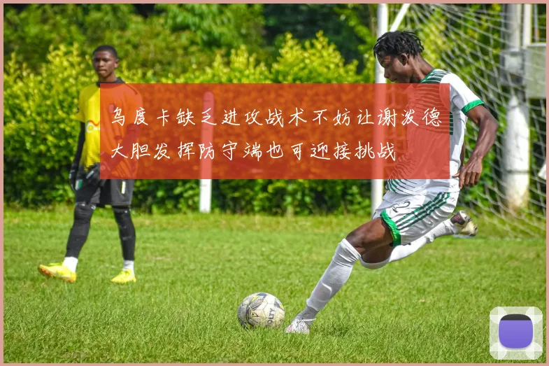 乌度卡缺乏进攻战术不妨让谢泼德大胆发挥防守端也可迎接挑战
